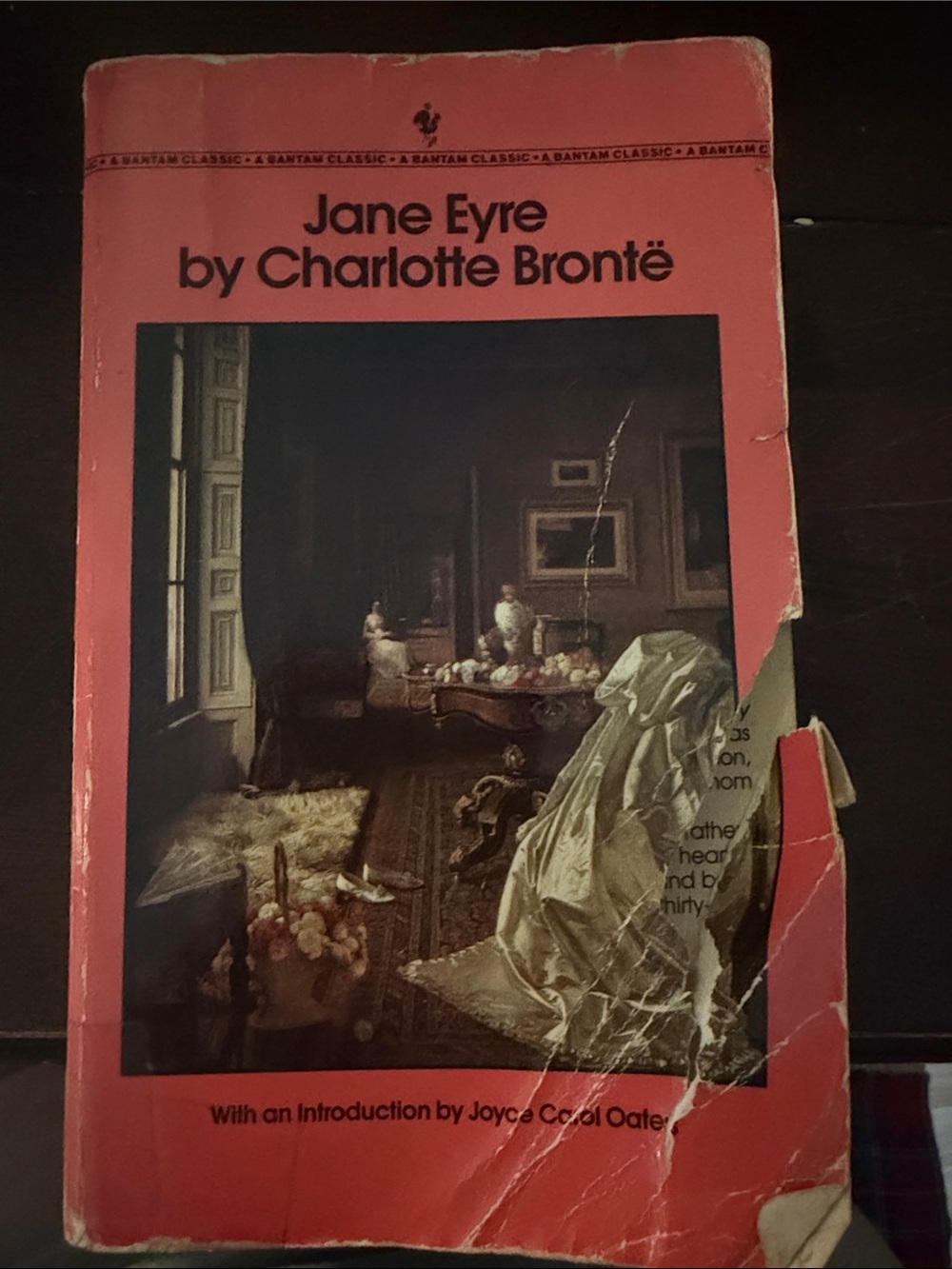 Jane Eyre Paperback Book - Pink Cover